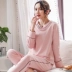 Bộ đồ ngủ nữ dài tay cotton mùa xuân và mùa thu phong cách hàn quốc cộng với người béo size lớn cotton mỏng phục vụ tại nhà bộ đồ hai mảnh mùa hè - Bộ Pajama