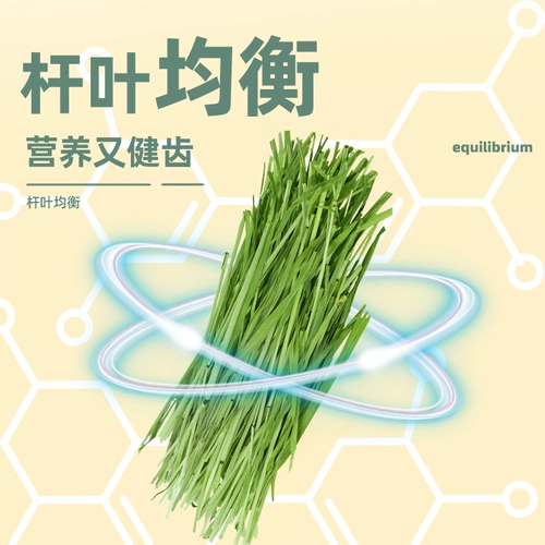 Тимоти травяная сушена