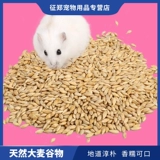 Купить 5 Получить 1 бесплатный хомяки зернового хомяка зернового ячменя.