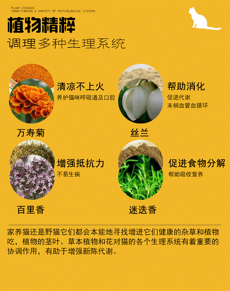 Thức ăn cho mèo cá hồi biển sâu vào mèo con mèo thức ăn chủ yếu muối thấp lông bóng đẹp lông mèo thức ăn hạt cho mèo ăn
