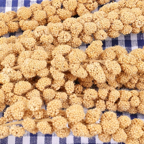 Hammel Snack Toy Natural Yellow Valley Ear с около 20-30 г дразнящей мыши с высоким содержанием клетчатки