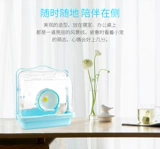 Прозрачный просмотр кристаллов.