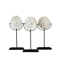 物集)天然珊瑚石海洋生物标本化石摆件装饰石头现代家居软装饰品