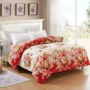 Chăn bông Hua Jin Tian 150 200 220 ký túc xá đại học 1,5m / 1,8 / 2 m chăn đôi - Quilt Covers chăn phao siêu nhẹ