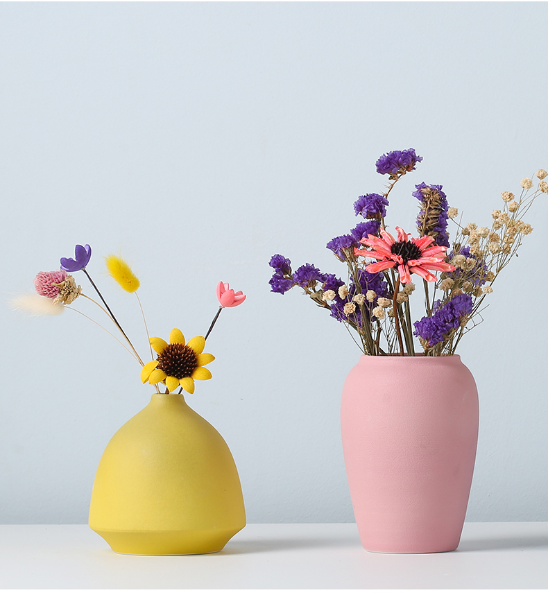 Floret bottle furnishing articles sitting room TV cabinet dry flower arranging flowers Nordic style ceramic home porch all over the sky star decoration