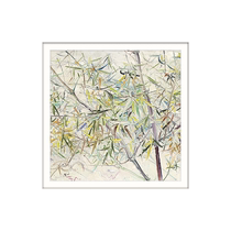 (Official) Moonlight White Orange House