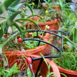 Можно отрегулировать размер размера падения головки, микроалфетки с аэрозольным ирригацией, с 4/7 трубкой для волос PE Tube может выключить регулировку воды 47 труб