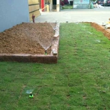 Садовый газон ирригационные спринклер регулируемый подземный рассеянный разбросан