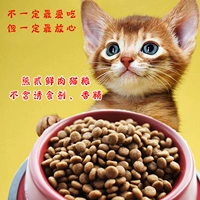 Xiong Wei handmade handmade thức ăn cho mèo tự nhiên thức ăn cho mèo tự nhiên 500 g thịt bò hương vị mèo trưởng thành - Cat Staples Cách mix hạt cho mèo