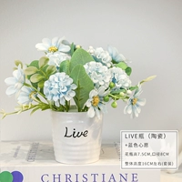 Живая бутылка+синий желание