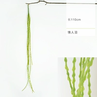 Любовник слезы