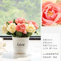 Живая бутылка+шампанское апельсиновое пион