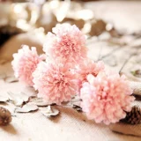 Qingcang Литература и искусство маленькая свежая кунжут