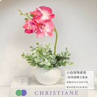 Маленький белый шарик розовый фалаенопсис