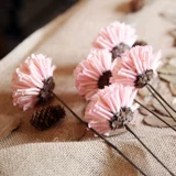 Qingcang Литература и искусство маленькая свежая кунжут