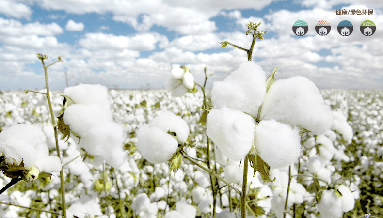 Pantalon collant Moyen-âge en coton - Ref 764645 Image 20