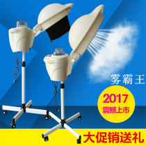 Fog overlord vertical hairdressing machine hair salon Bureau oil Machine household steam engine care hair evaporator with cap