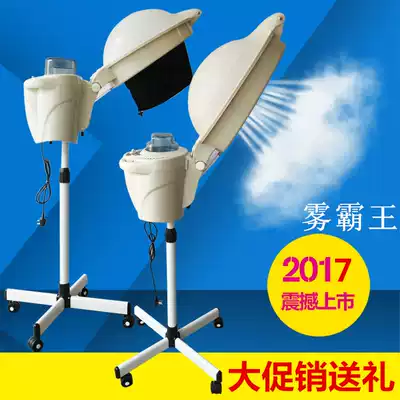 Fog overlord vertical hairdressing machine hair salon Bureau oil Machine household Steam Machine care hair evaporator hooded