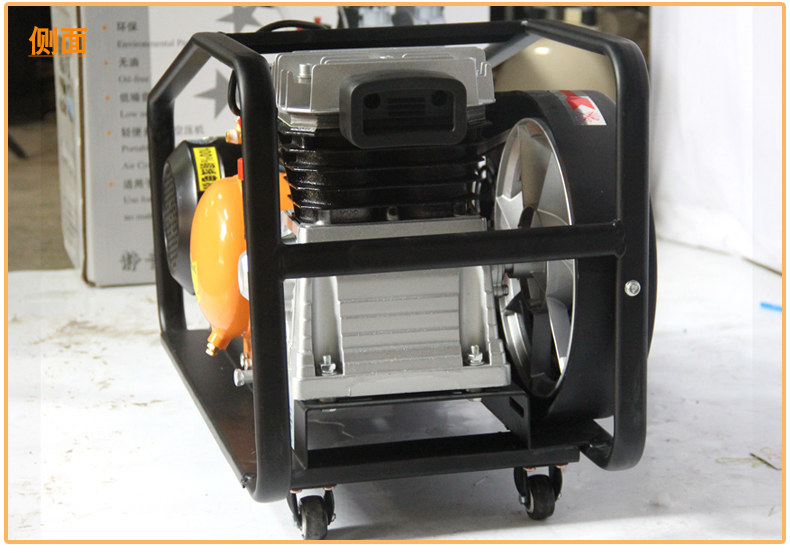 Ветровой леопардовый распыление короля детали 02_14.jpg