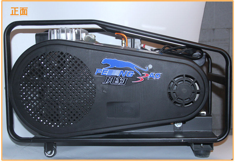 Ветровой леопардовый распыление с подробностями 02_13.jpg