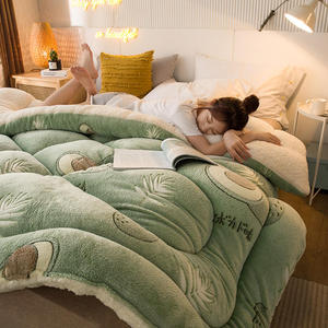 【全尺寸统一价】雪花绒羊羔绒冬被