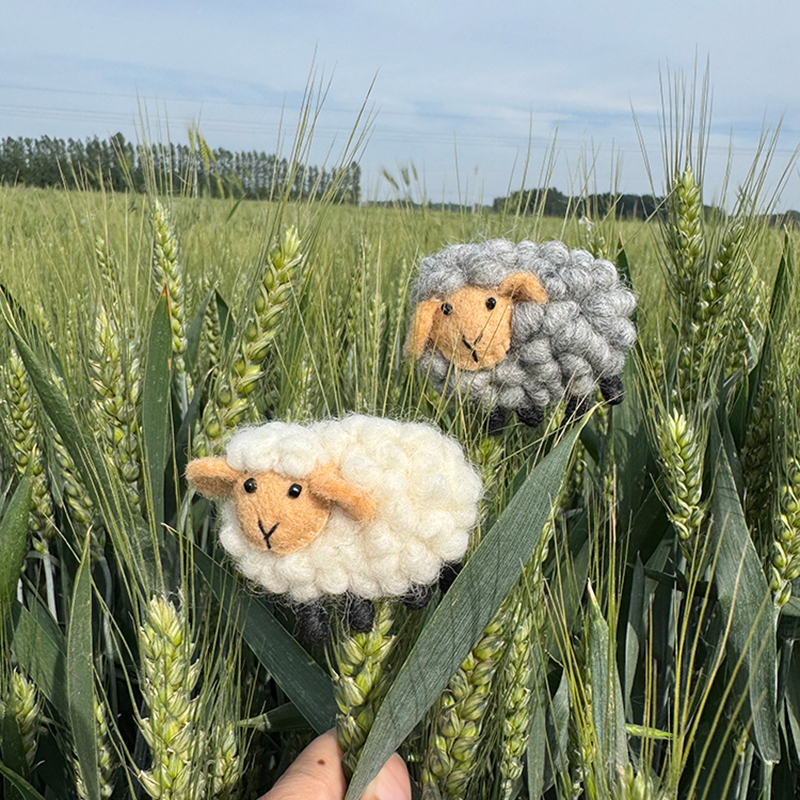 Wool Felt Brooch, High-End Luxury, Exquisite and Fashionable Peony Flower, Sheep Wool Handmade, 2025 New Model Wool Felt Brooch, High-End Luxury, Exquisite and Fashionable Peony Flower, Sheep Wool Handmade, 2025 New Model