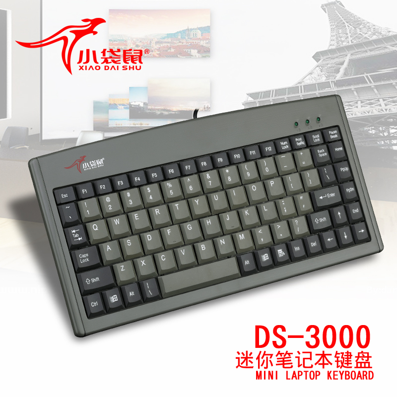 Small Kangaroo DS-3000 Notebook Keyboard Ps 2 Round Mouth Industrial Computer Wired Keyboard USB Keypad