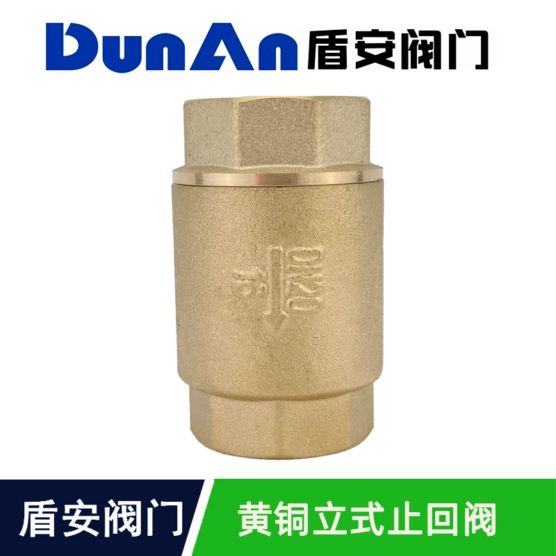 Dunan Spring Spring Valve Lắp đặt Van chống Van Dừng Dừng Dừng Ngừng Ngừng Nước Chừng tổn thất Van chống lại Van chống lại dòng chảy 4 điểm 6 điểm và 1 inch van 1 chiều inox van 1 chieu 21