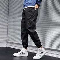 Hong Kong Tide Card Small Mark Pure Color Casual Pants Male Korean version 100 Loose Big Code Elastic Small Footed Kharen Pants Long Pants Man