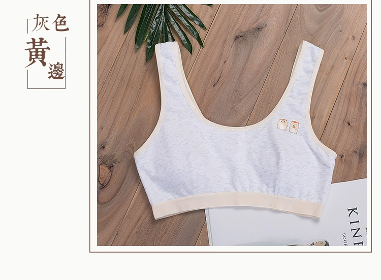 Cô gái lớn áo ngực trẻ em cotton tinh khiết kiểu áo vest học sinh trung học cơ sở nữ sinh đồ lót thời kỳ phát triển áo ngực mỏng phần 2 mảnh - Push Up Bras