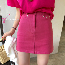 Clearance does not return THE original 69 yuan THE LEMON early spring new Korean pink casual versatile skirt