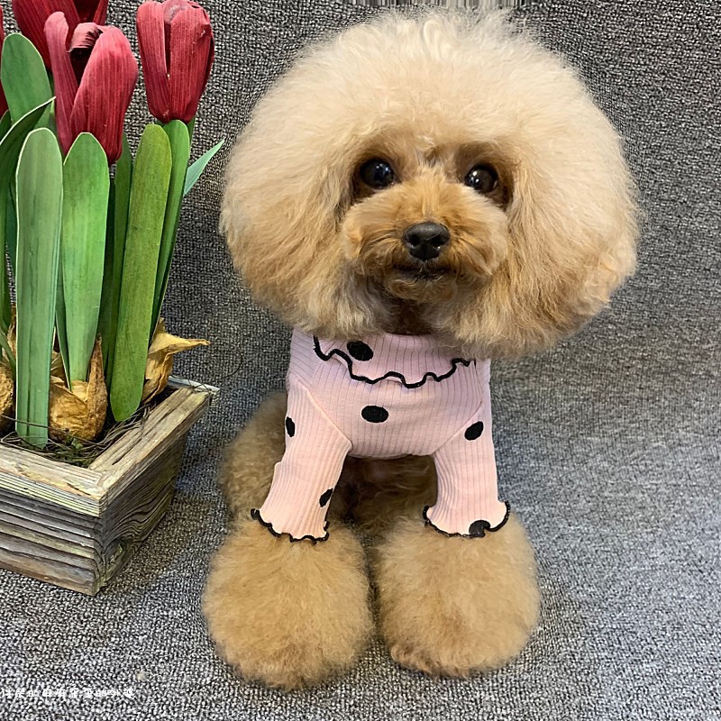 Dog clothes Spring and Autumn dress dog clothes Teddy Bear small dog and cat clothes T-shirts