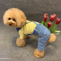 Pet dog spring and autumn clothes Teddy washed strap jeans small straight pants pet pants dog pants