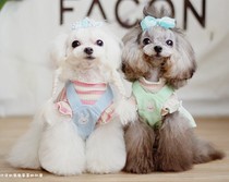 Pet cat dog clothes Spring and Autumn cute princess dress Strap dress Teddy Yorkshire bear small dog skirt