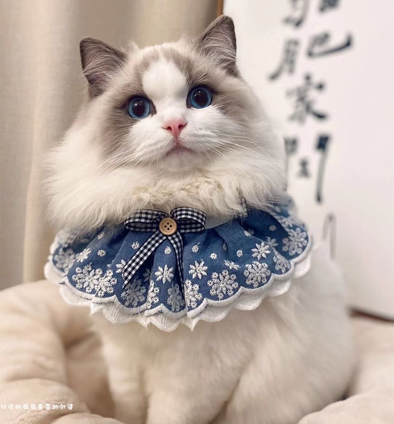 Dog saliva towel pet scarf cat large, medium and small dog bib pet jewelry necklace collar bell dog bow tie