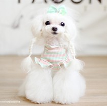 Dog clothes Small flying sleeves Striped base cat clothing Two-legged clothing Spring and Autumn T-shirt Teddy Bear Yorkshire top