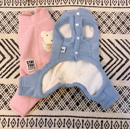 Мультяшные демисезонные флисовые штаны, в корейском стиле, осенний сезон