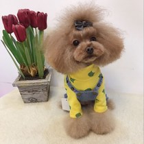 Dog turtleneck base shirt Pet clothes Spring and autumn base T-shirt Cute dog clothes Teddy dog clothing