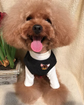 Dog clothes pet vest Teddy Schnauzer clothes dog two feet dog vest clothes hair clothes