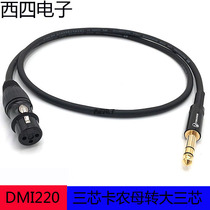 Datong 128 net soft microphone line Dual Channel 6 35 large three core to XLR Kannon mother balance microphone sound card line