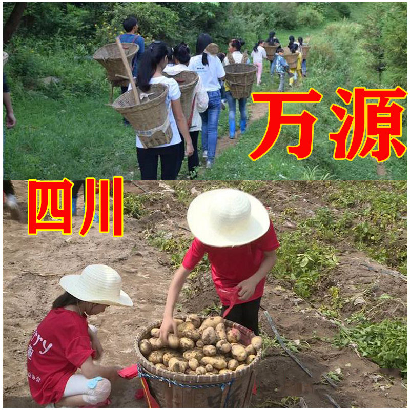 魏戈发都