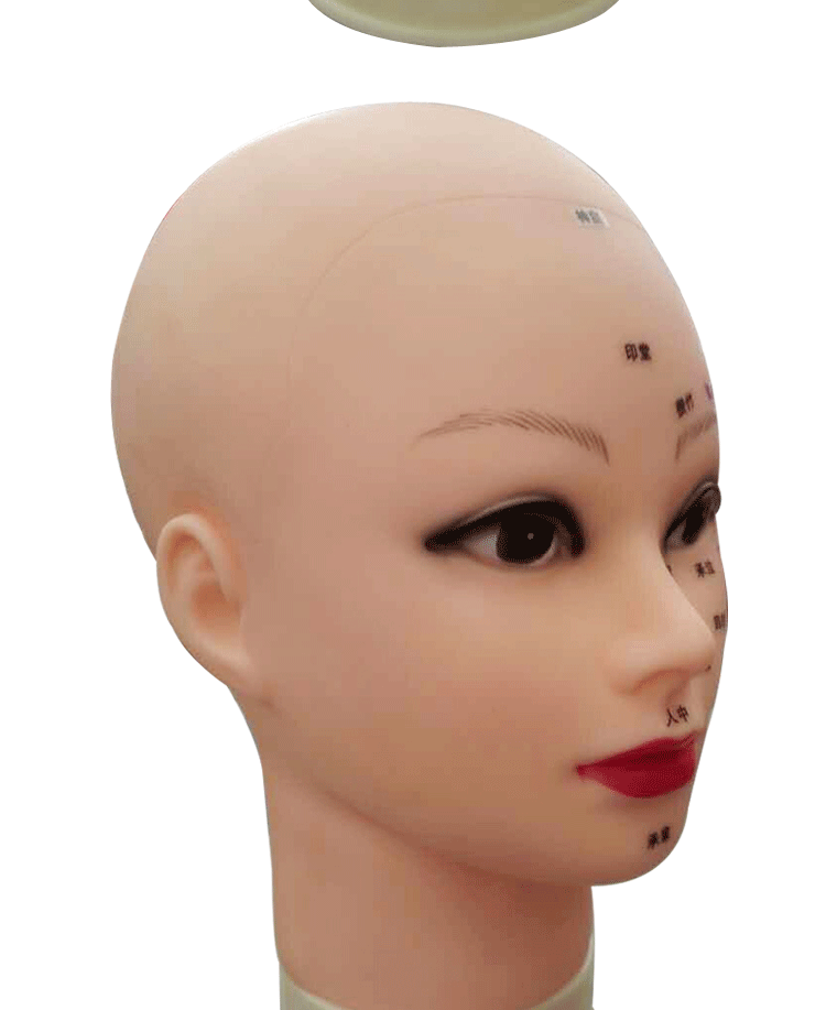 Tête mannequin - Ref 272407 Image 9