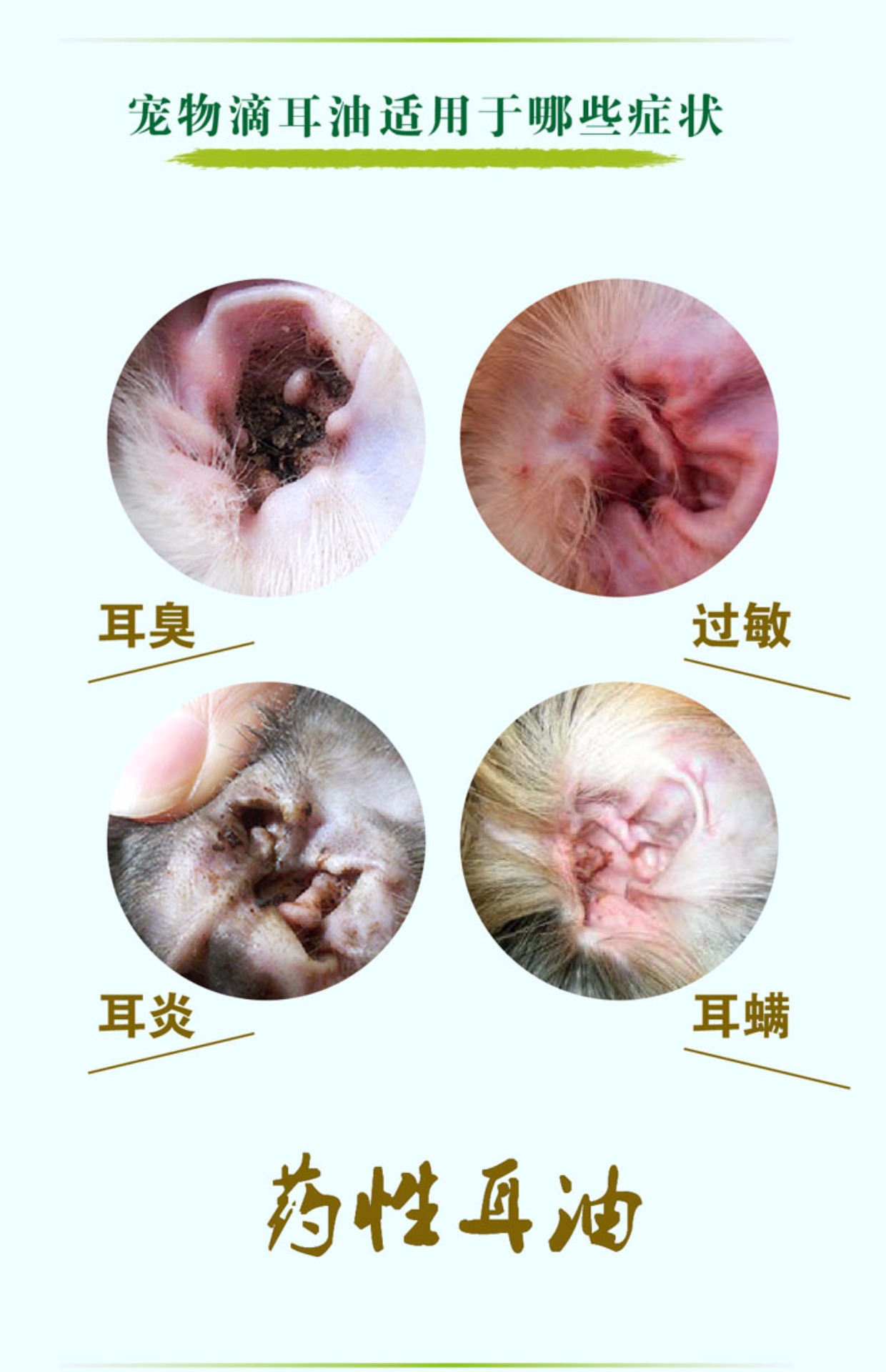 Tai chó nhỏ tai Dầu tai chó pet tai chó viêm tai làm sạch khử mùi hiệu quả tai mèo - Cat / Dog Medical Supplies Dụng cụ thú y Hà Nội