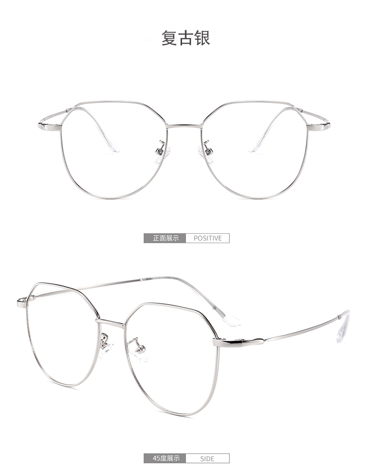 Montures de lunettes en Alliage cuivre-nickel - Ref 3141030 Image 20