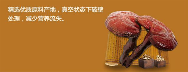 Ganoderma lucidum bào tử bột mực nước biển sâu viên nang mềm thông qua tắc nghẽn lipid máu tim mạch tăng cường dinh dưỡng thể chất và các sản phẩm chăm sóc sức khỏe - Thực phẩm dinh dưỡng trong nước vitamin tong hop