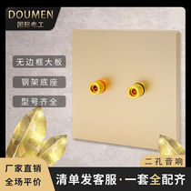 International electrician champagne gold wall switch socket panel type 86 concealed household two-hole audio socket