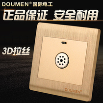 International electrical corridor sound and light control delay switch induction sound and light control switch type 86 3D champagne gold salad wire