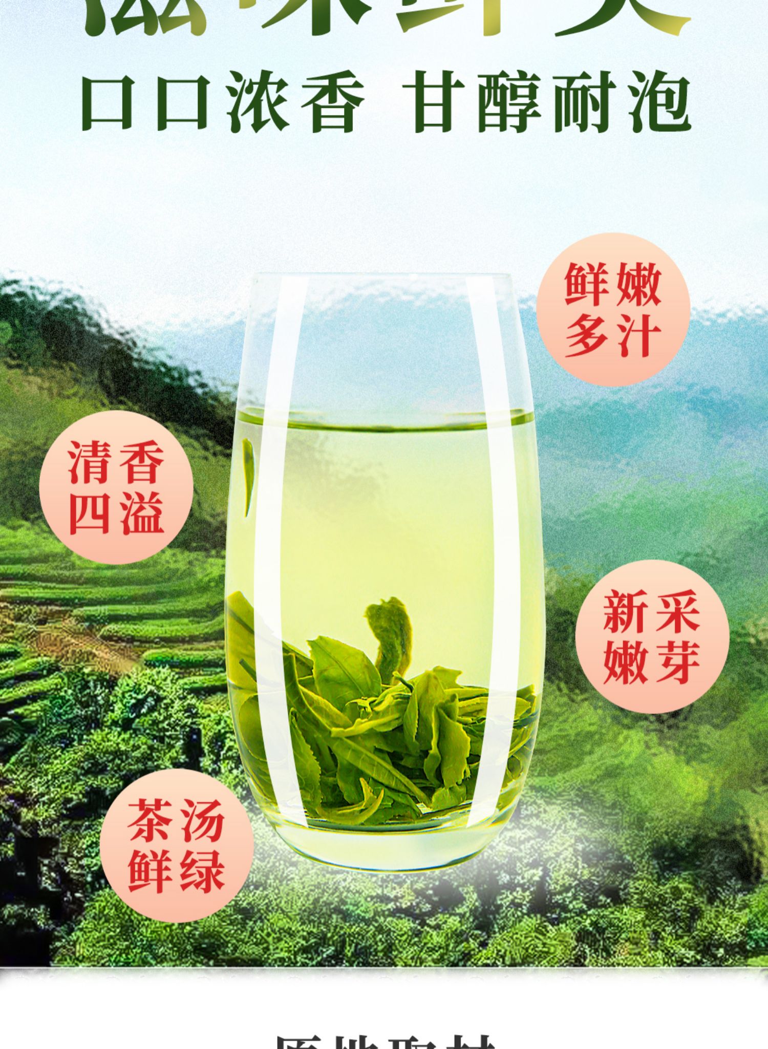 2021新茶高山云雾绿茶500g
