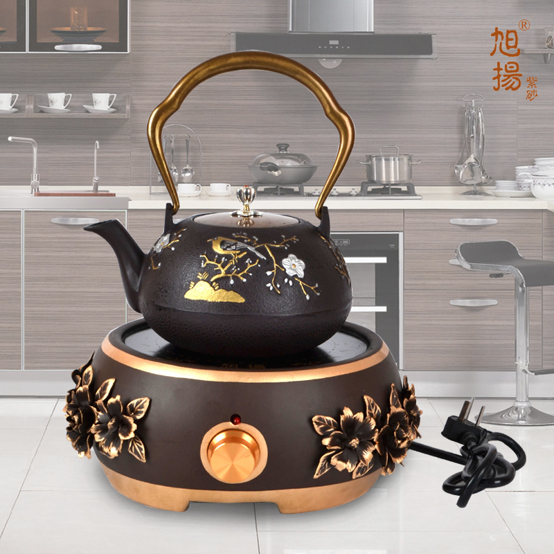   XUYANG ZISHA CLASSICAL ZISHA  ڱ 뱤 GONGFU GONGFU GONGFU    1000W