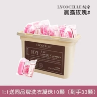 Утренняя роза